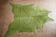 Lime green cow hide rug 278 cm x 233 cm
