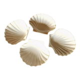 4 antique cups in the shape of a white porcelain shell