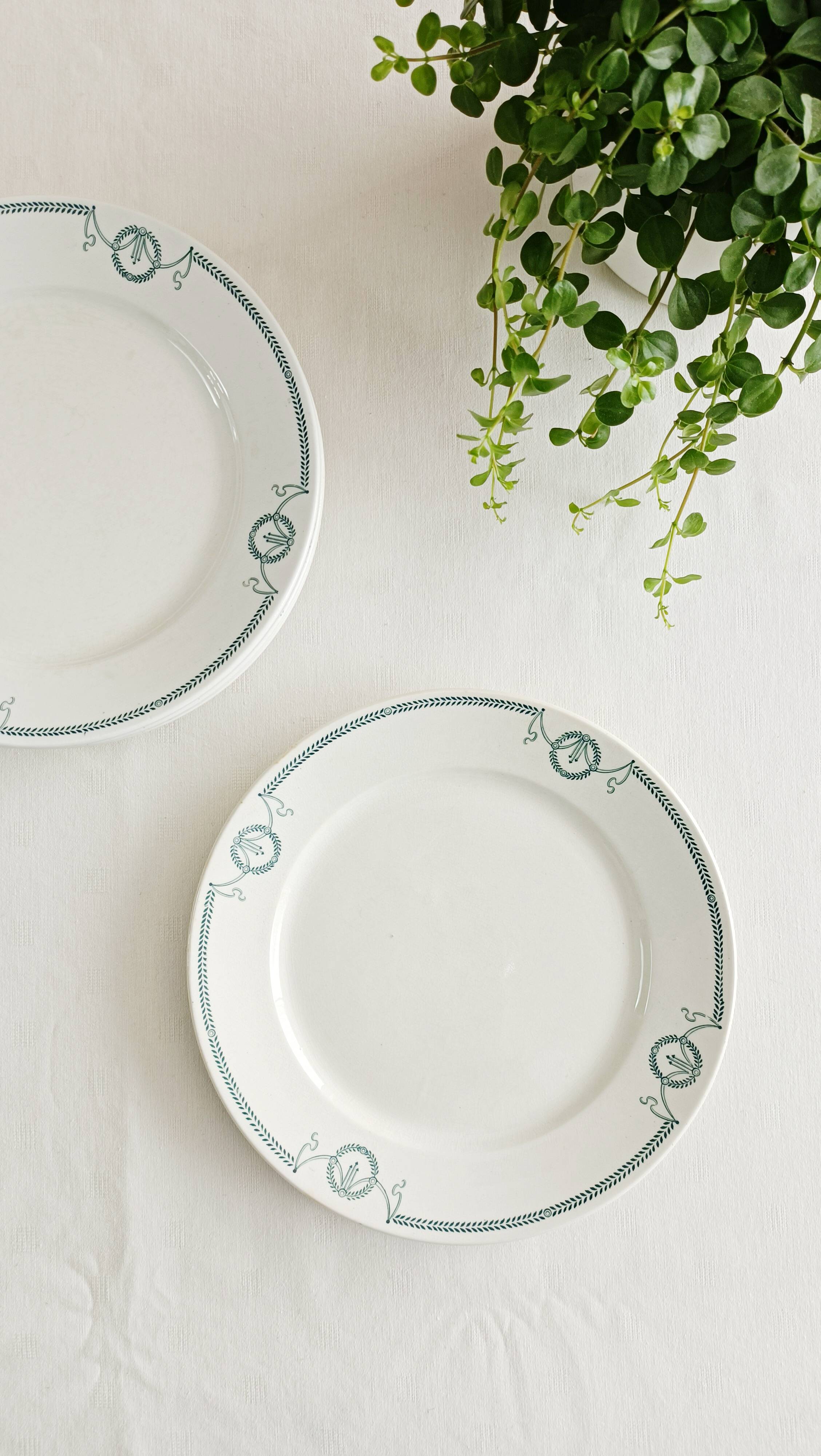 Set of 6 flat plates, ironstone, Petrus Regout, Empire.