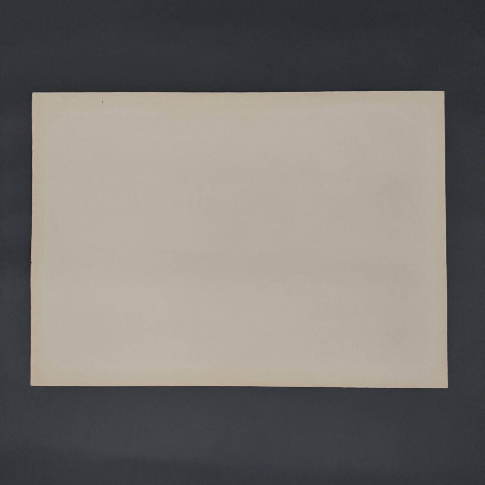 Lithograph by Henri Rivière The Aspects of Nature - The Twilight