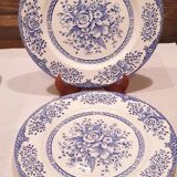 3 plates blue flower vintage English porcelain