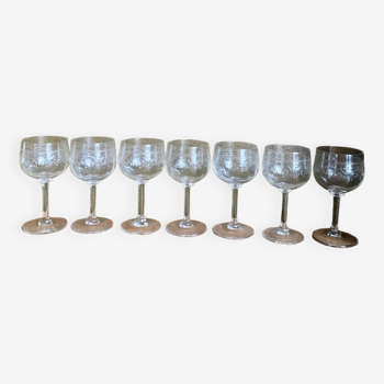 Lot de 7 verres à pied anciens en verre gravé