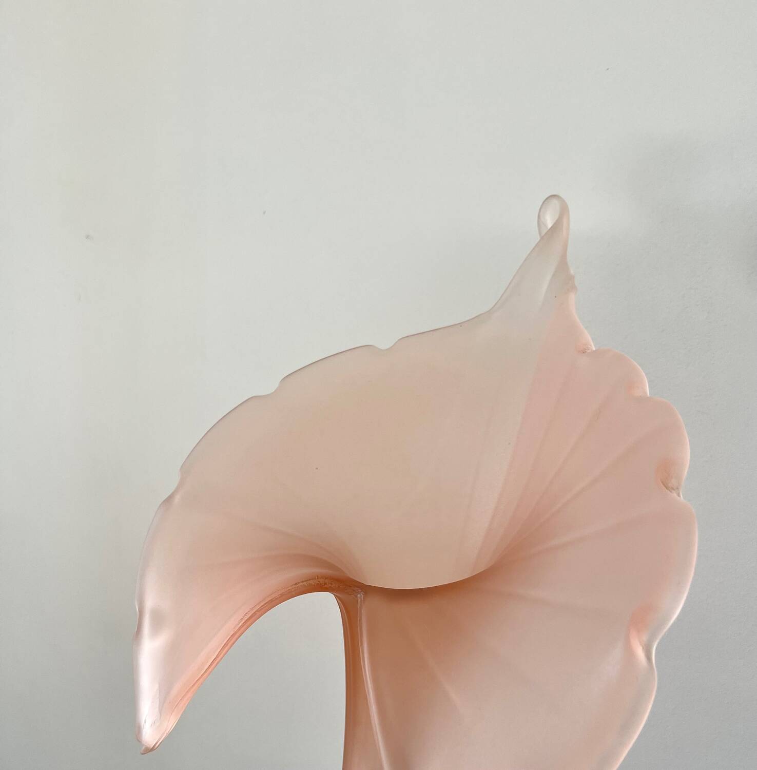 Leonardo vase in pink frosted glass