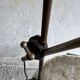 Vintage black industrial screw lamp