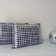 Set of 2 vintage cushions, blue gingham