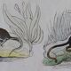 Original zoological plate "common fox & American fox, badger,... - Buffon 1838