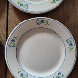 Assiettes à dessert bleuet