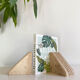 Pair of greenhouse travertine books Cerri Nestore