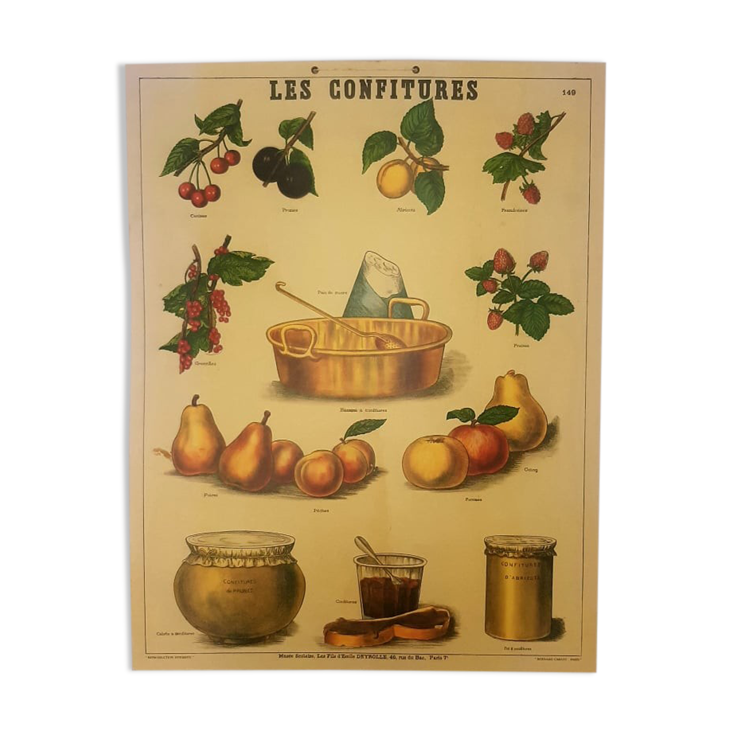 Educational poster "les confitures" school museum Emile Deyrolle