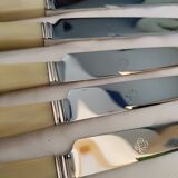 Set of 12 horn handle knives