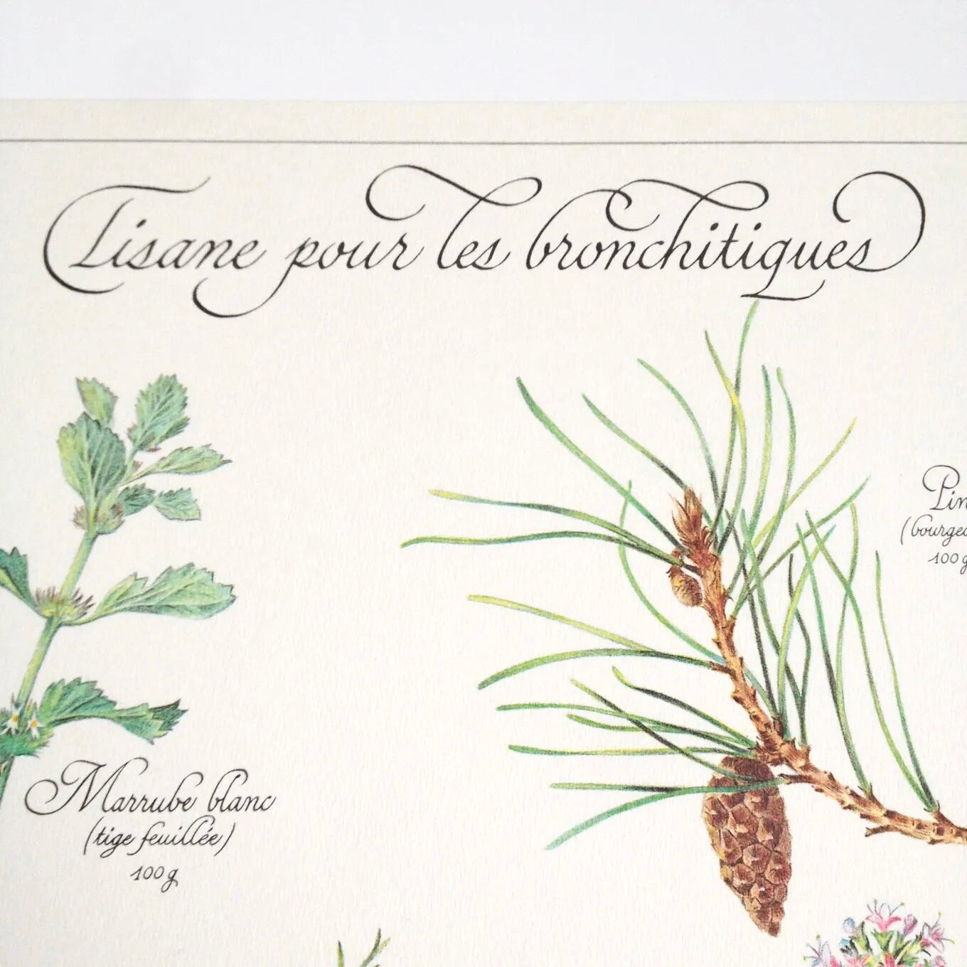 Botanical herbal tea