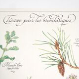 Botanical herbal tea