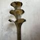 Rare wall sconce in brass – Tommaso Barbi style – 1970s