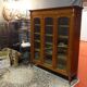 English bookcase 19th