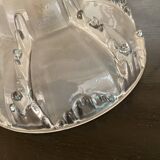 Glass pendant light, braided fabric cable and porcelain ceiling rose