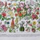 Illustration ancienne Millot "Fleurs d'arbres"