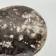 Dish in petrified wood