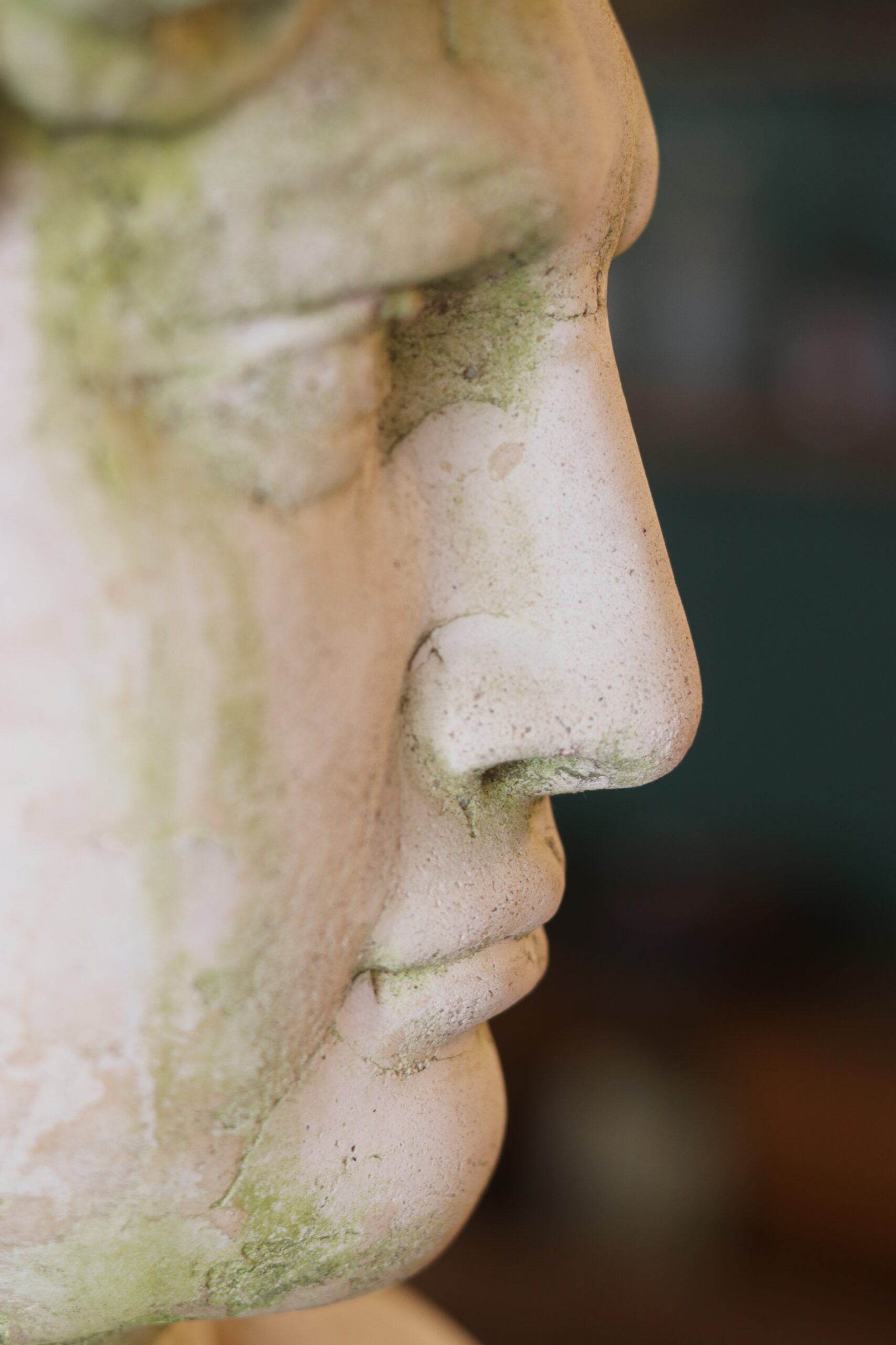 Bust of David in concrete – mid 20th century