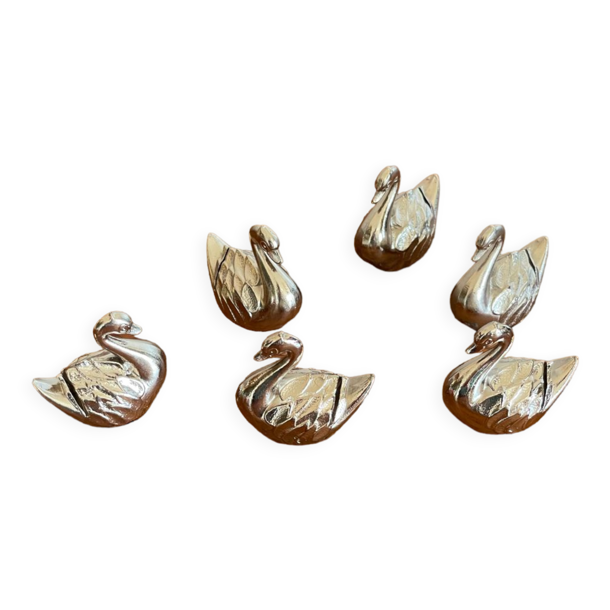 6 swan name holders