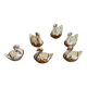 6 swan name holders