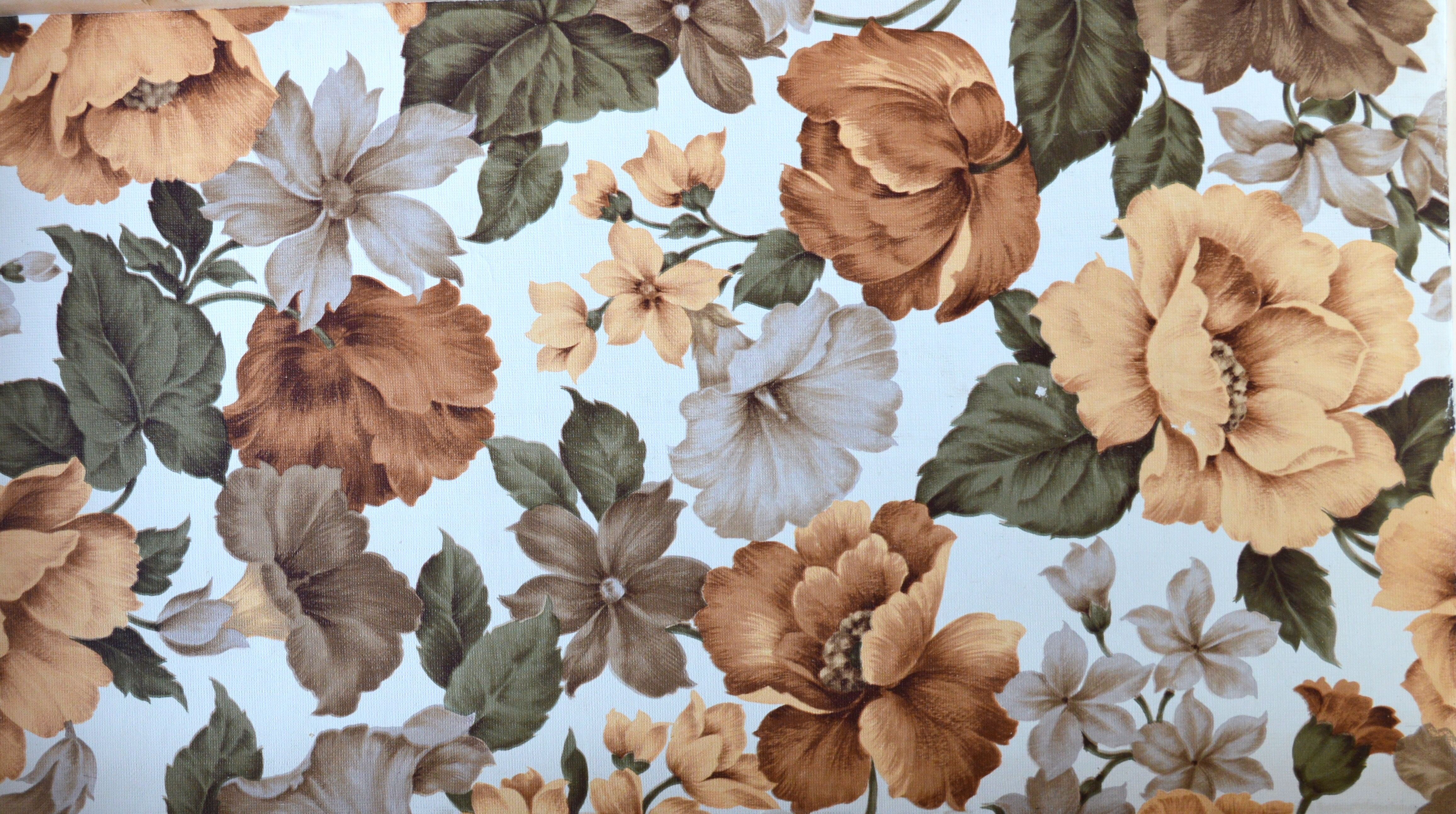 Rattan and wicker library