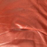 Roche Bobois sofa