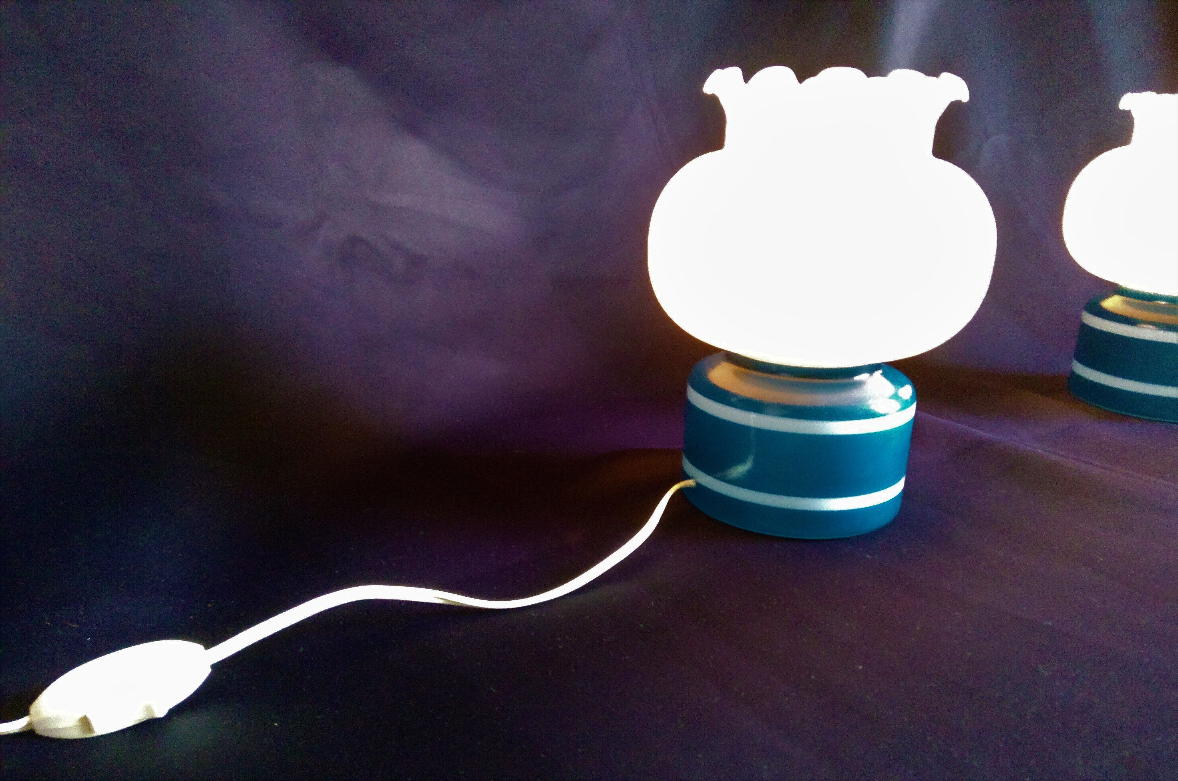 Pair of duck blue and white opaline lamps