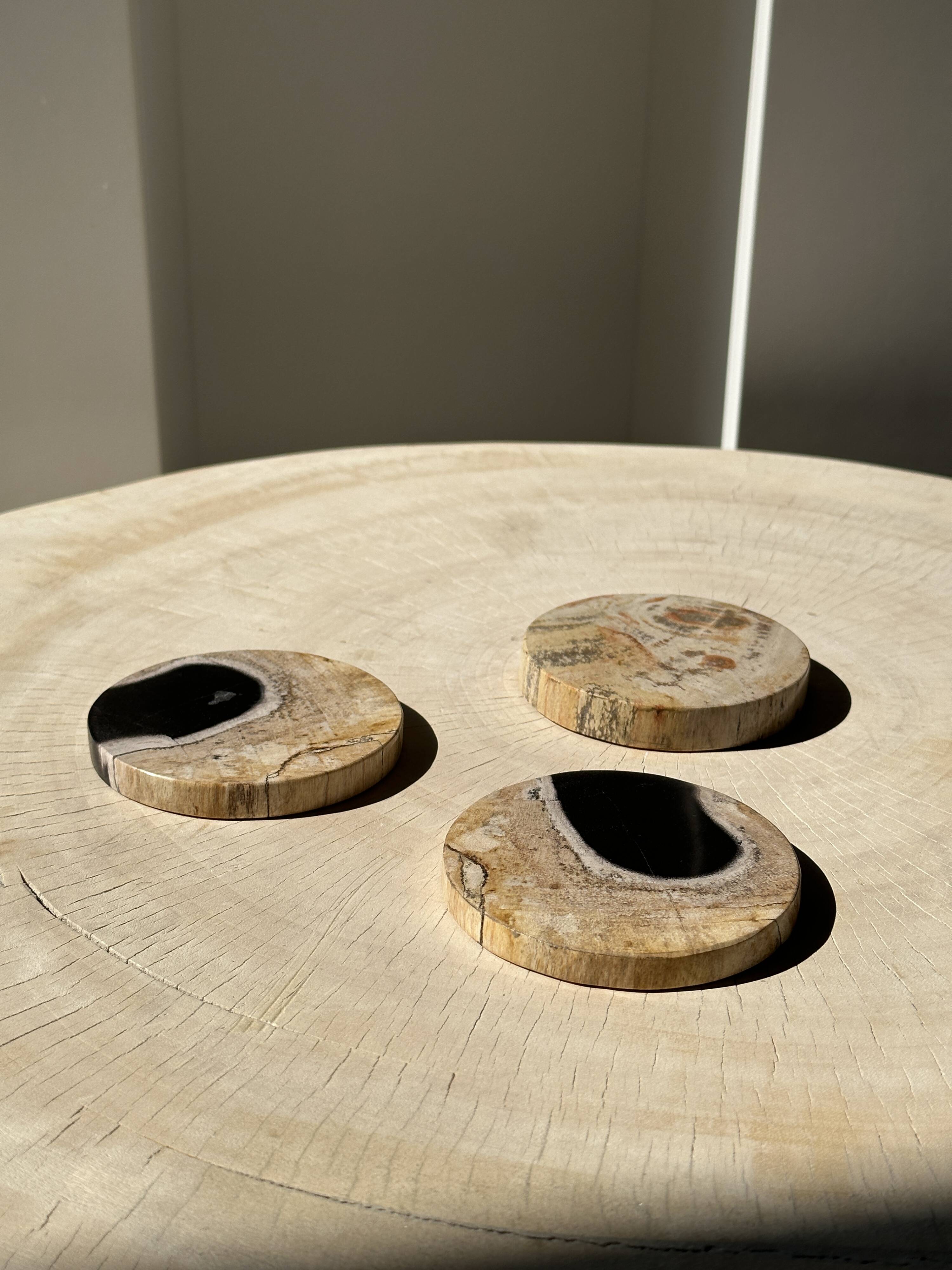 Set of 3 fossilized wood coasters (clear)