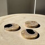 Set of 3 fossilized wood coasters (clear)