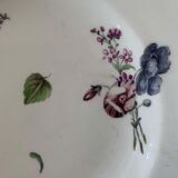 Chinese porcelain plate of the 18th century indian company