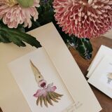 Collage illustration