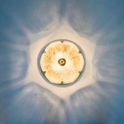 Flower shaped brass & glass flush mount from limburg, germany, 1960s