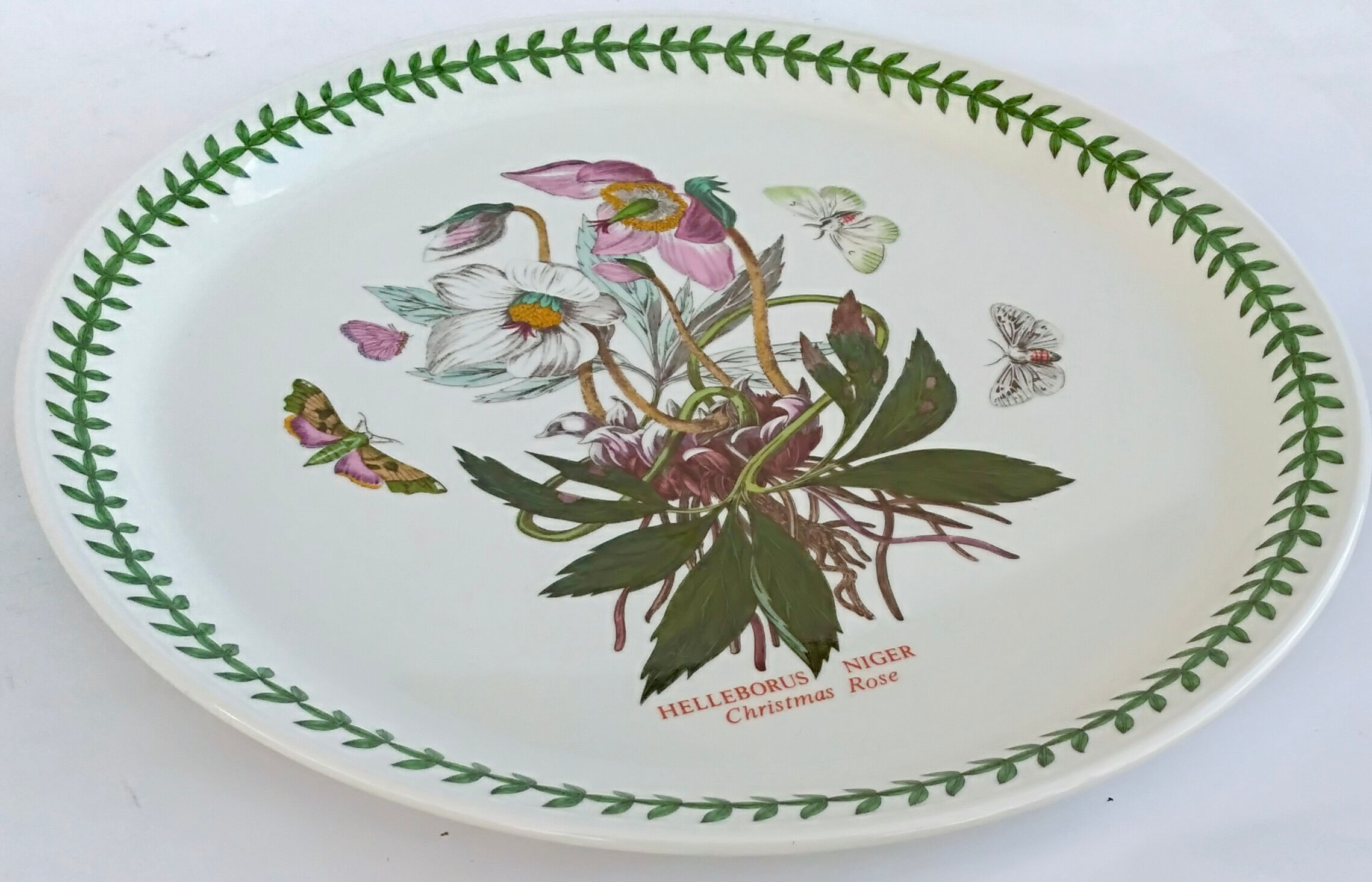 Set of 2 dishes earthenware portmeirion made in england décor botaznic garden