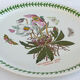 Set of 2 dishes earthenware portmeirion made in england décor botaznic garden