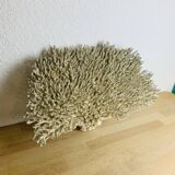 Old XL coral 51 cm