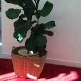 Old basket woven bamboo