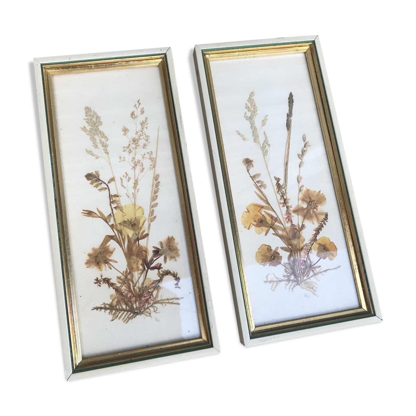 Pair of herbarium frames