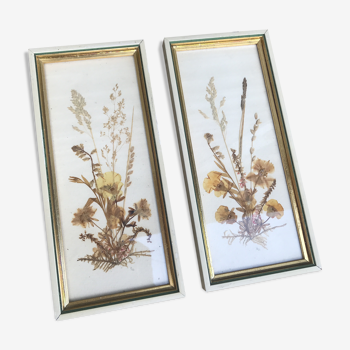 Pair of herbarium frames