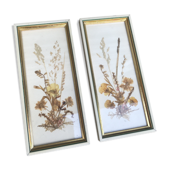 Pair of herbarium frames