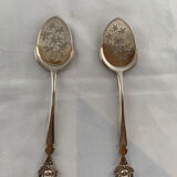 Ice Cream Spoons