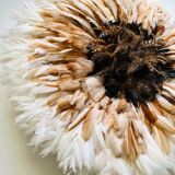 Juju Hat beige 65 cm