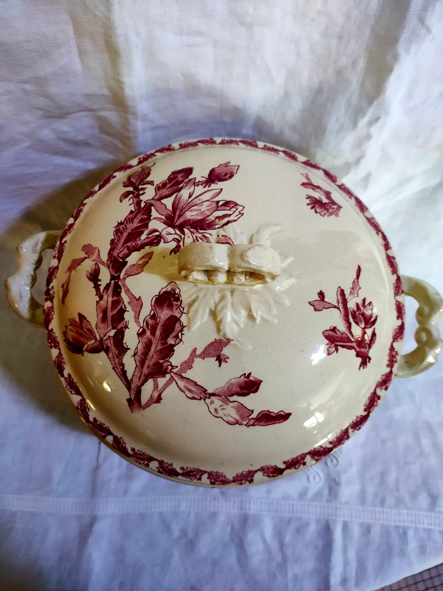 Earthenware tureen of Gien decoration Cactus