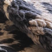 Tapis Contemporain Berbère - 278 x 173 cm