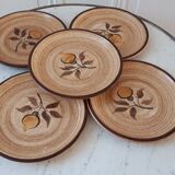 Set of 5 dessert plates in Salins stoneware 70s