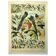 Antique engraving 1897 - Birds 2, species, bird of paradise