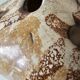 Ceramic flower vase Signed La Roue (Vallauris)