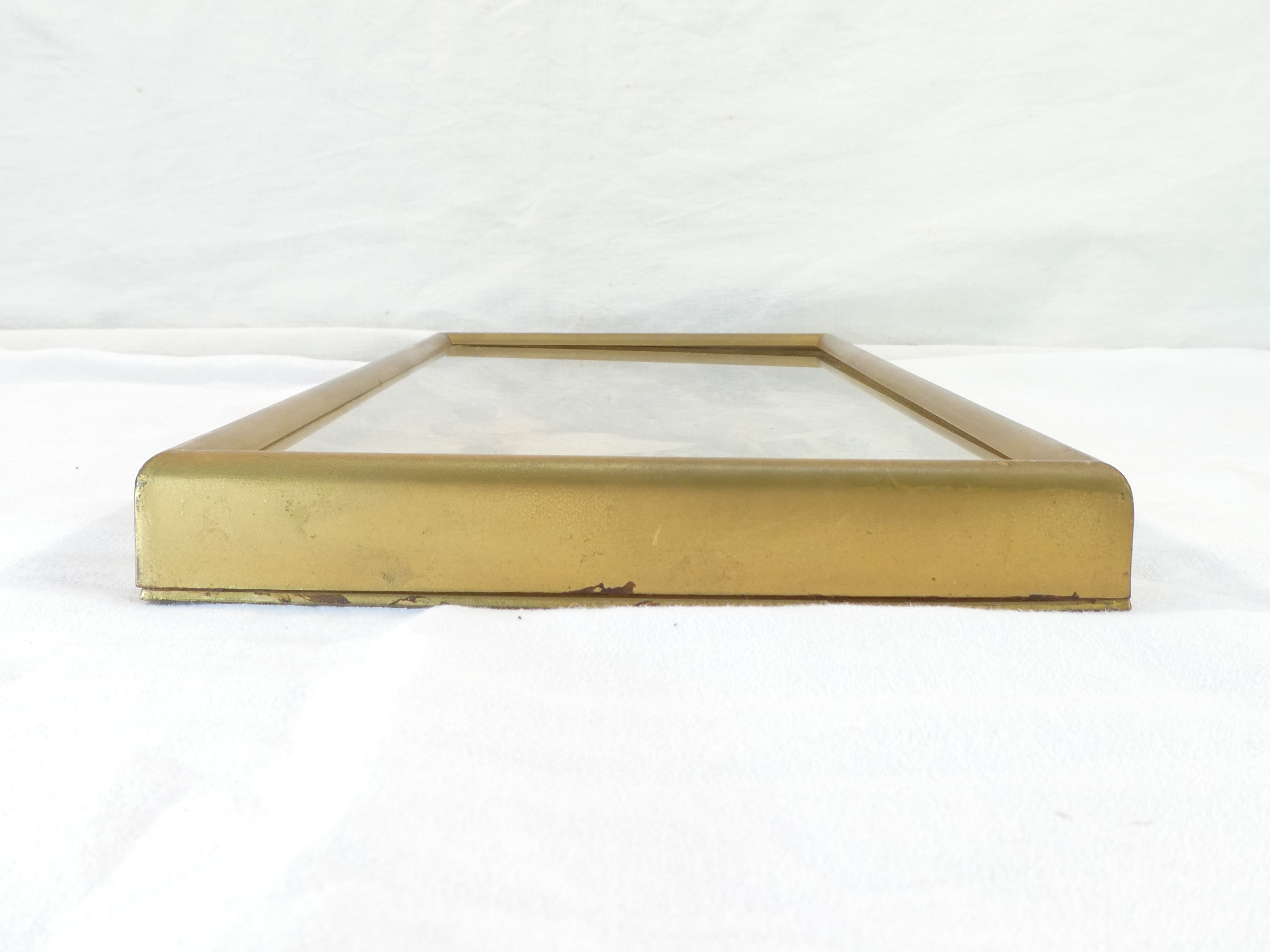 Entomology old taxidermy butterfly frame