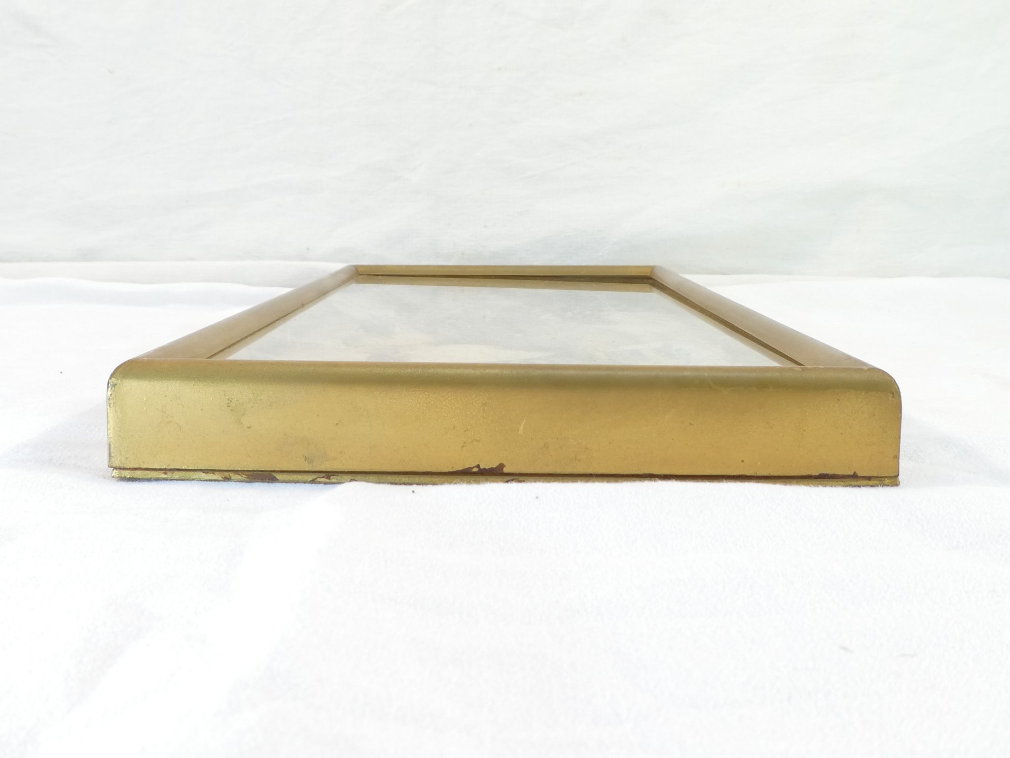 Entomology old taxidermy butterfly frame