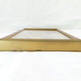 Entomology old taxidermy butterfly frame