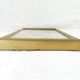 Entomology old taxidermy butterfly frame